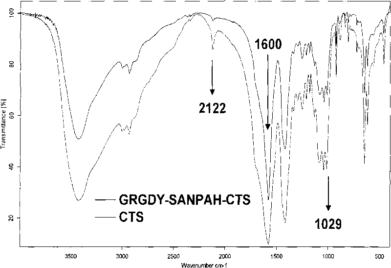 Method for photochemical cross-linking cell adhesion peptides on chitosan hydroxyl