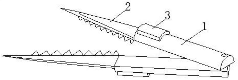 A single-point quick bead extraction method based on pearl culture