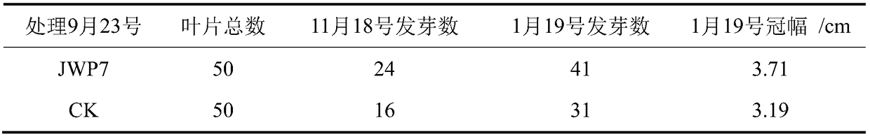 A sedum rhizosphere-promoting Pseudomonas aeruginosa and its application