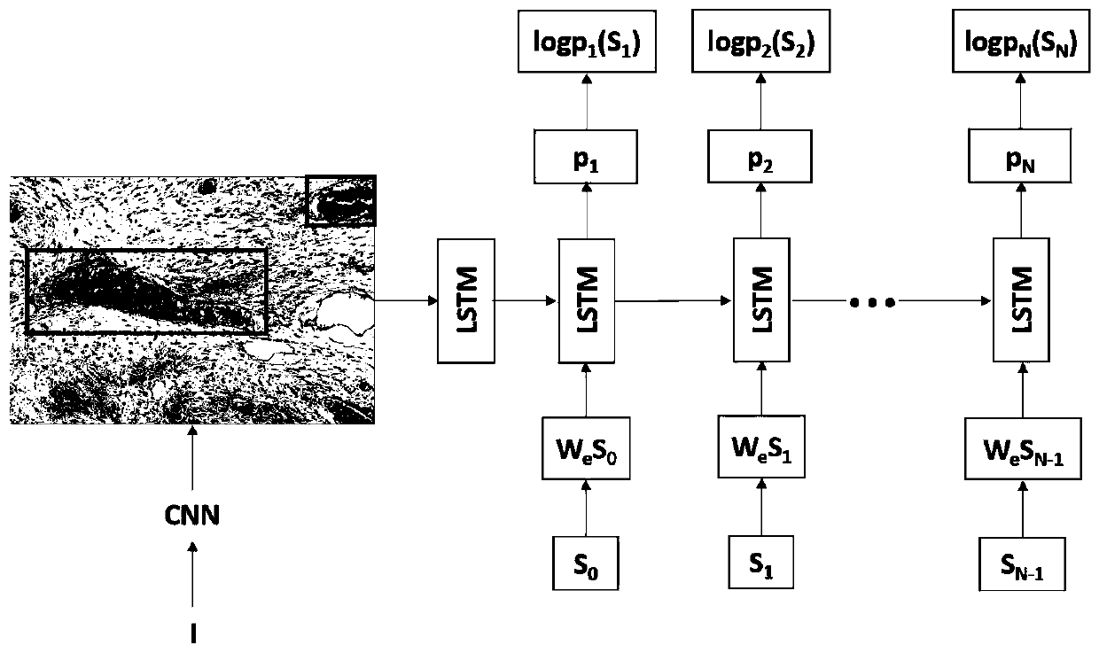 Pathological intelligent diagnosis system through combination of pictures, characters and voice