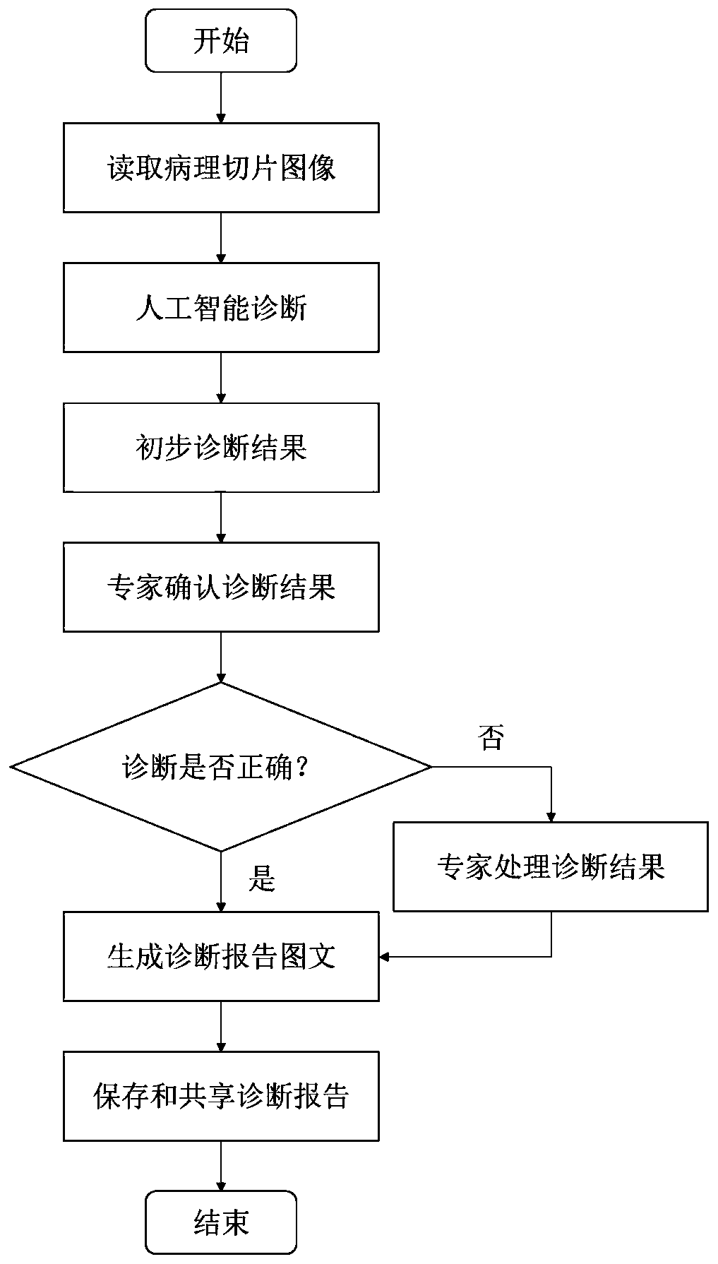 Pathological intelligent diagnosis system through combination of pictures, characters and voice