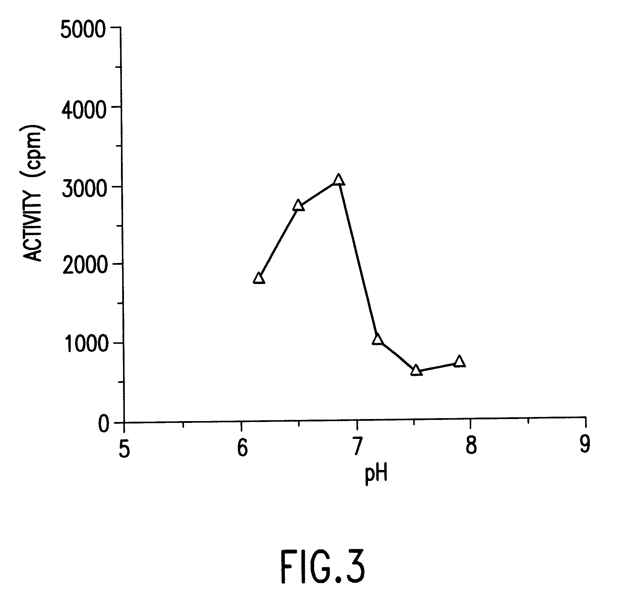 DNA polymerase