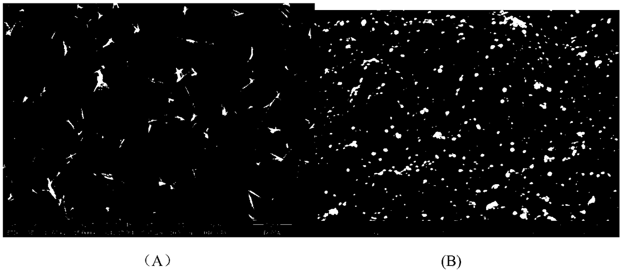 High-efficiency difunctional water decomposition electrocatalyst NiCoP and preparation method thereof