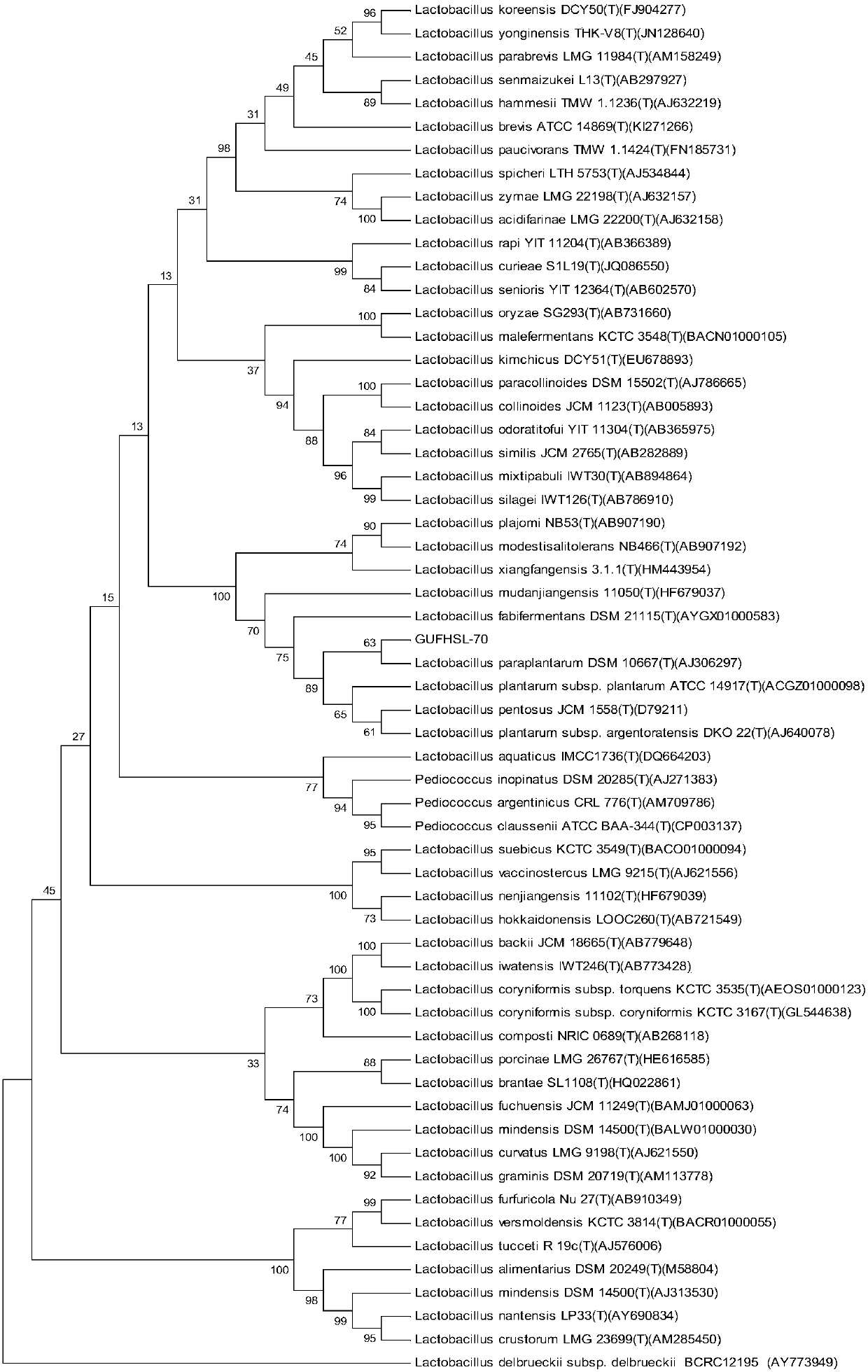 A strain of Lactobacillus plantarum and its screening method for lowering cholesterol and nitrite