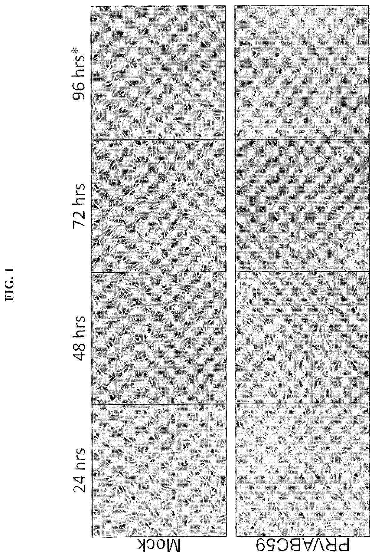 Method for inactivating zika virus and related methods