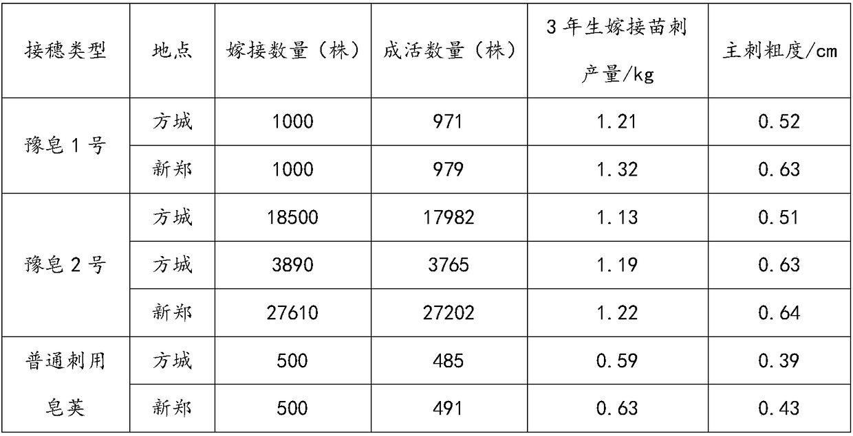 Method for increasing gleditsia-sinensis grafting survival rate