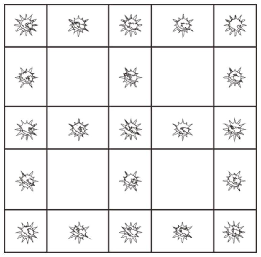 Selective adhesion transfer printing method based on laser surface treatment