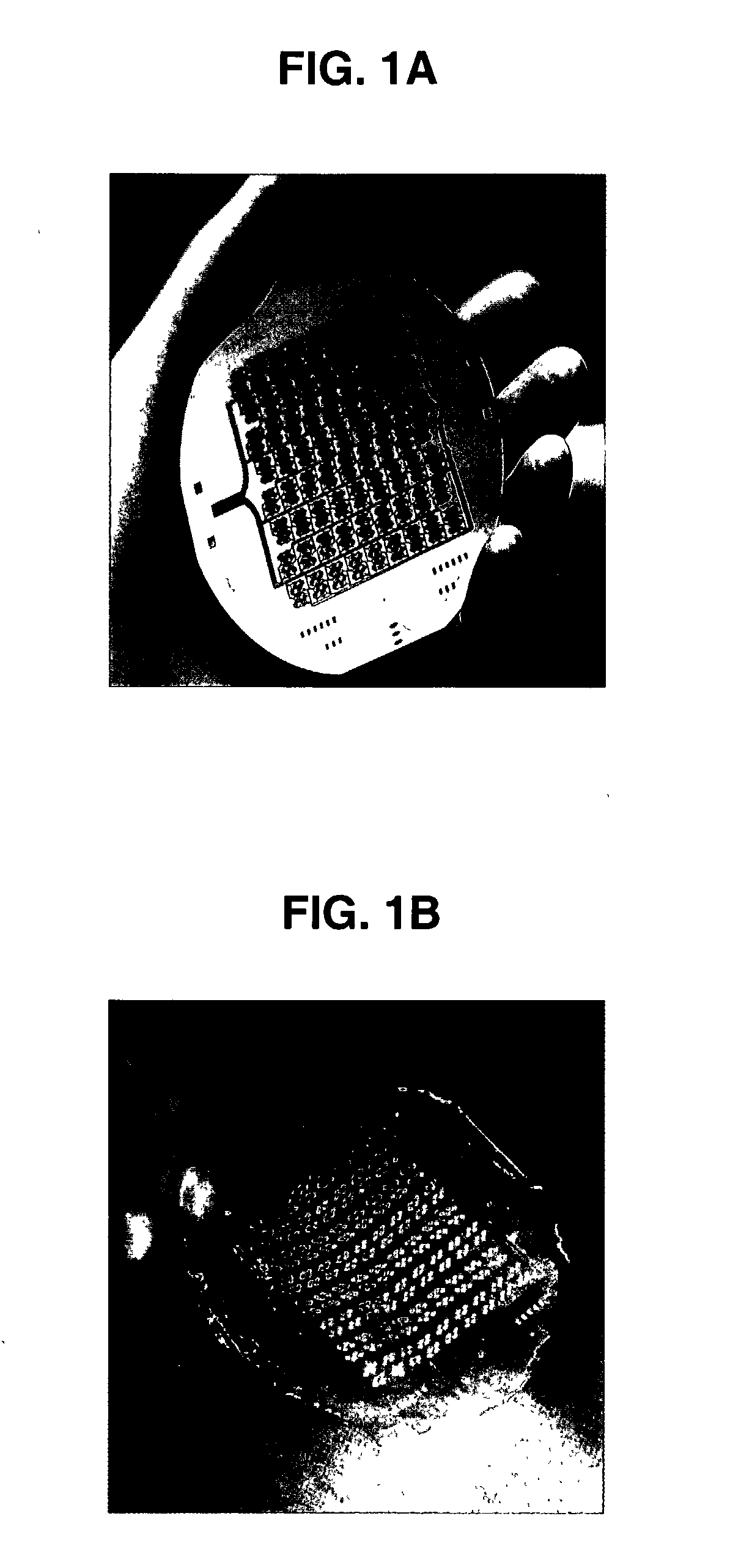 Fabrication of tissue lamina  using microfabricated two-dimensional molds