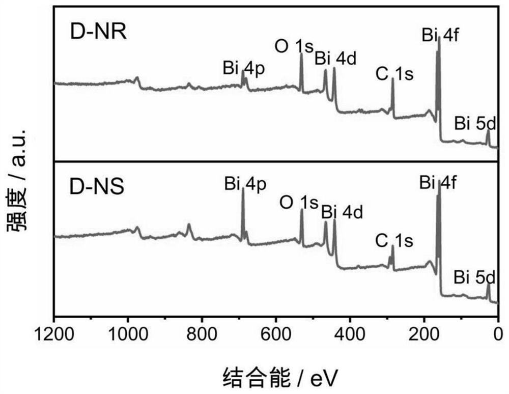 Bismuth-based nano material as well as preparation method and application thereof