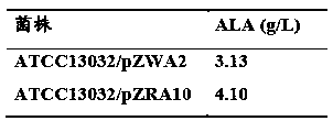 5-aminolevulinic acid production strain and its construction method and application