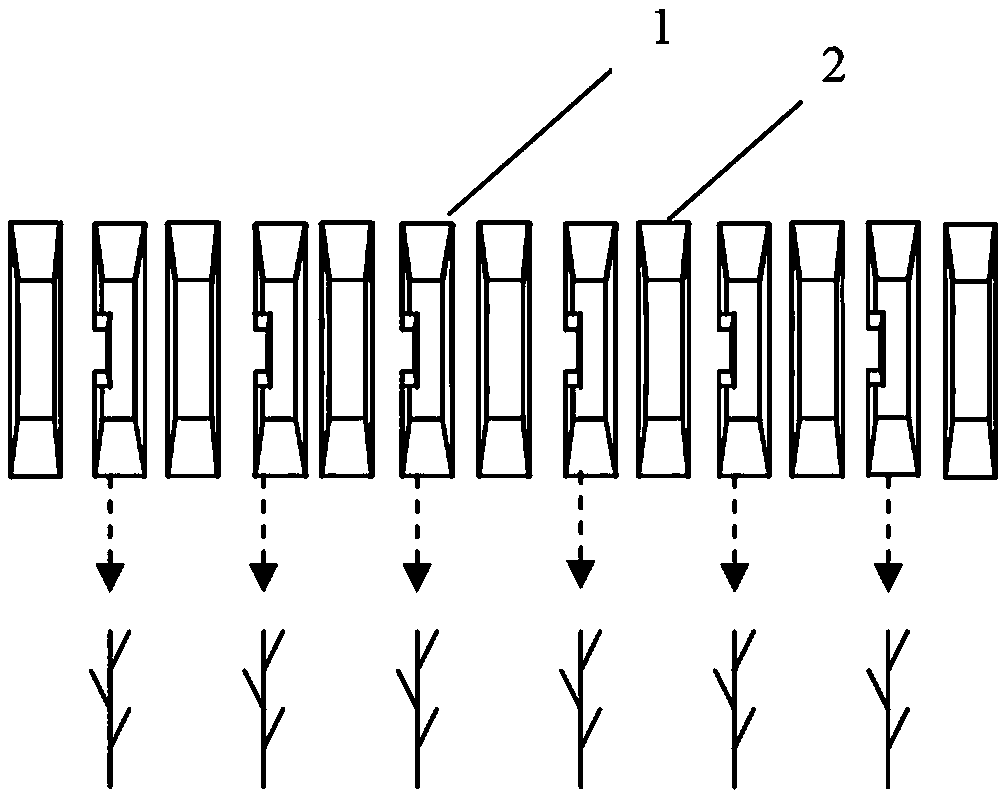 A strip planting method for mechanically harvesting millet without ear entanglement