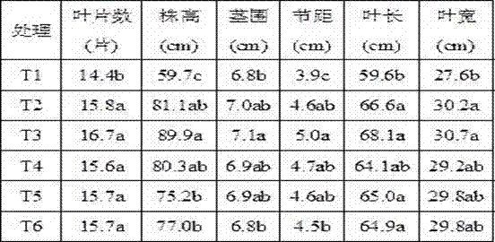 Fertilizing method for tobacco in manner of drip irrigation under plastic film