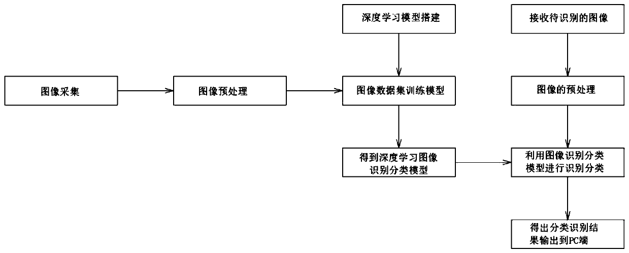 Northeast black fungus disease and insect pest image recognition system based on deep learning