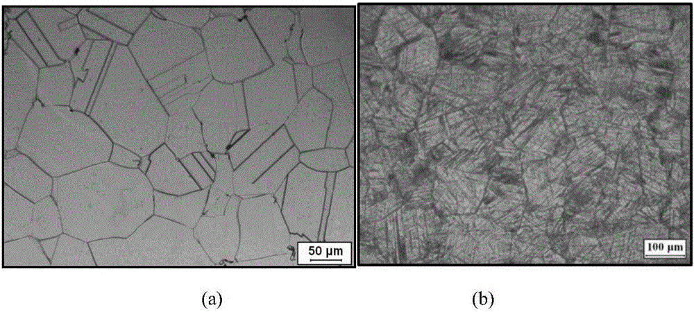 Method for refining grain structure of GH4169 alloy forging by adopting two-stage stepped strain rate process