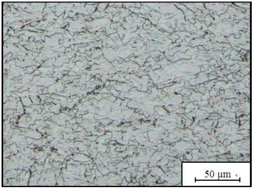 Method for refining grain structure of GH4169 alloy forging by adopting two-stage stepped strain rate process