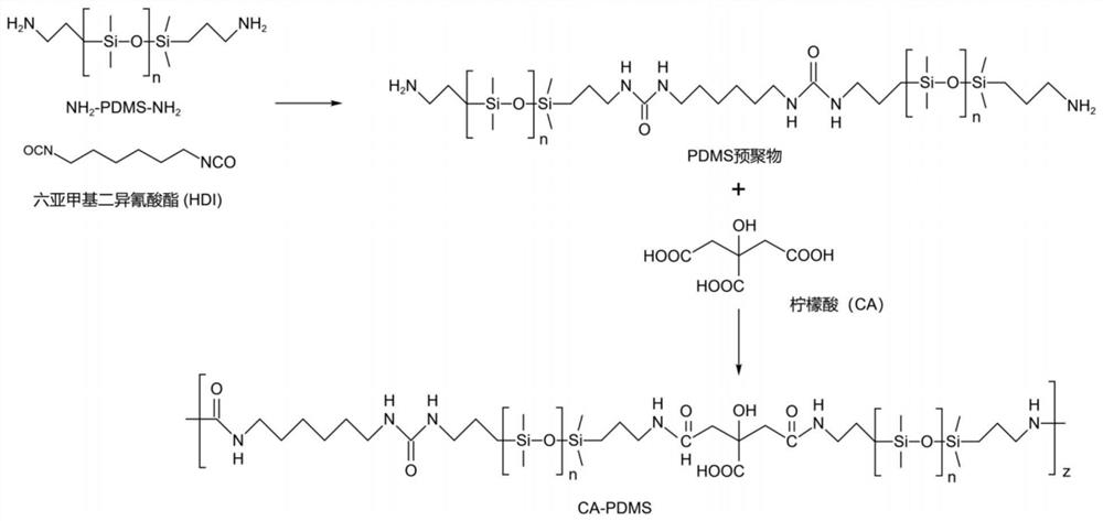 Self-repairing polysiloxane elastomer and preparation method thereof