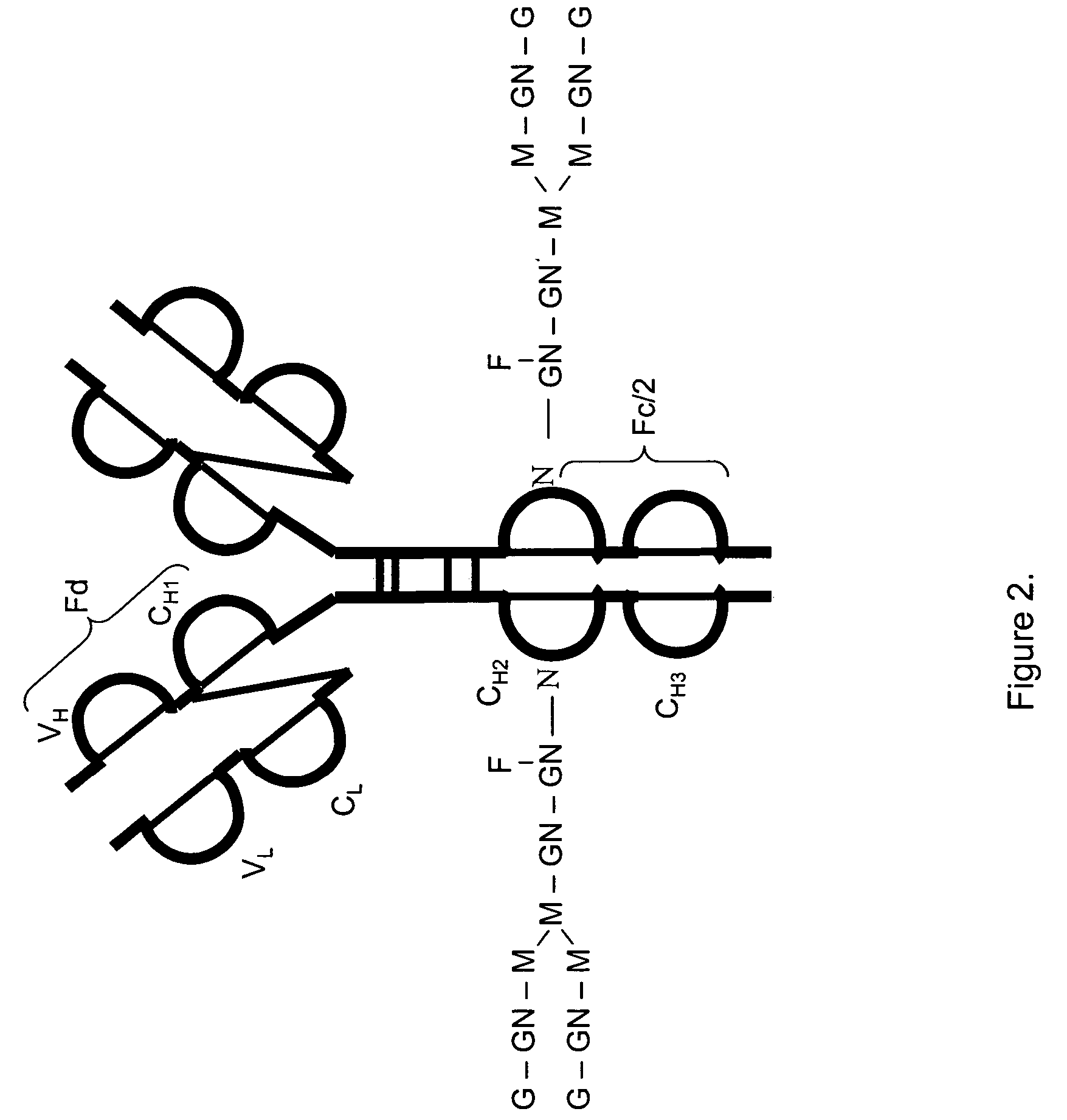 LC/MS method of analyzing high molecular weight proteins