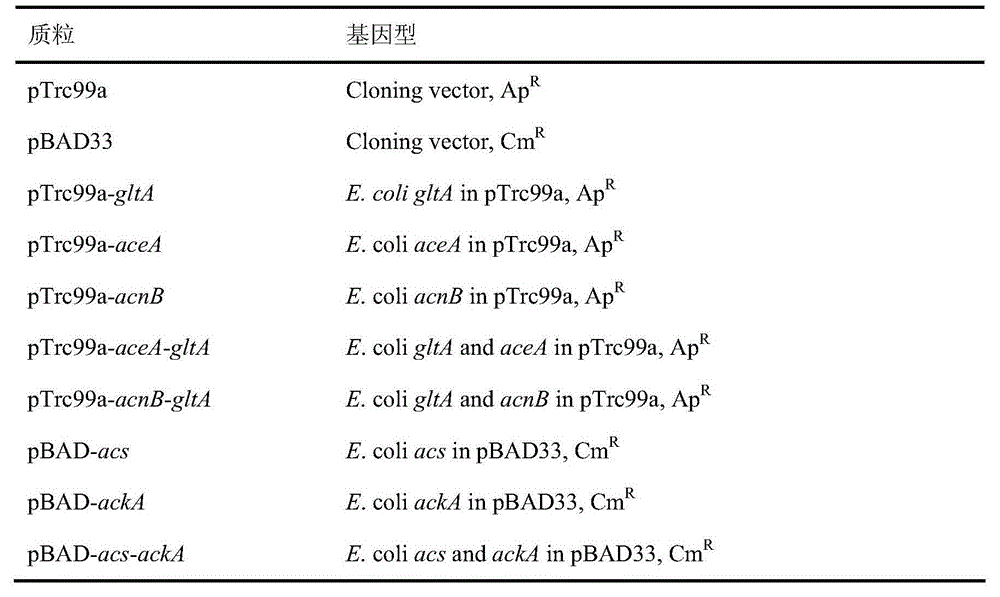 Construction method and applications of metabolic engineering escherichia coli strain for producing succinic acid by using acetic acid