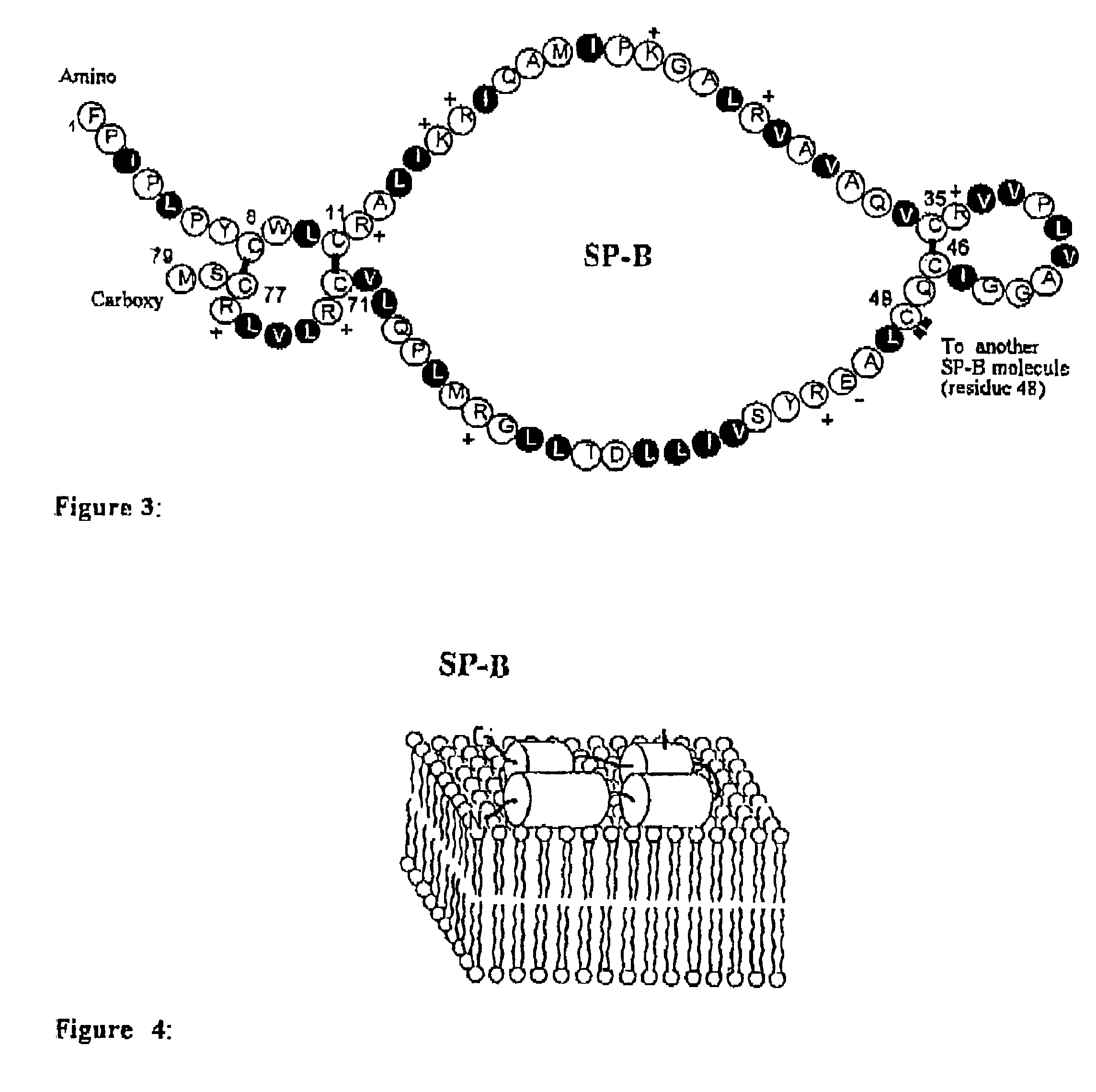 Polypeptoid pulmonary surfactants