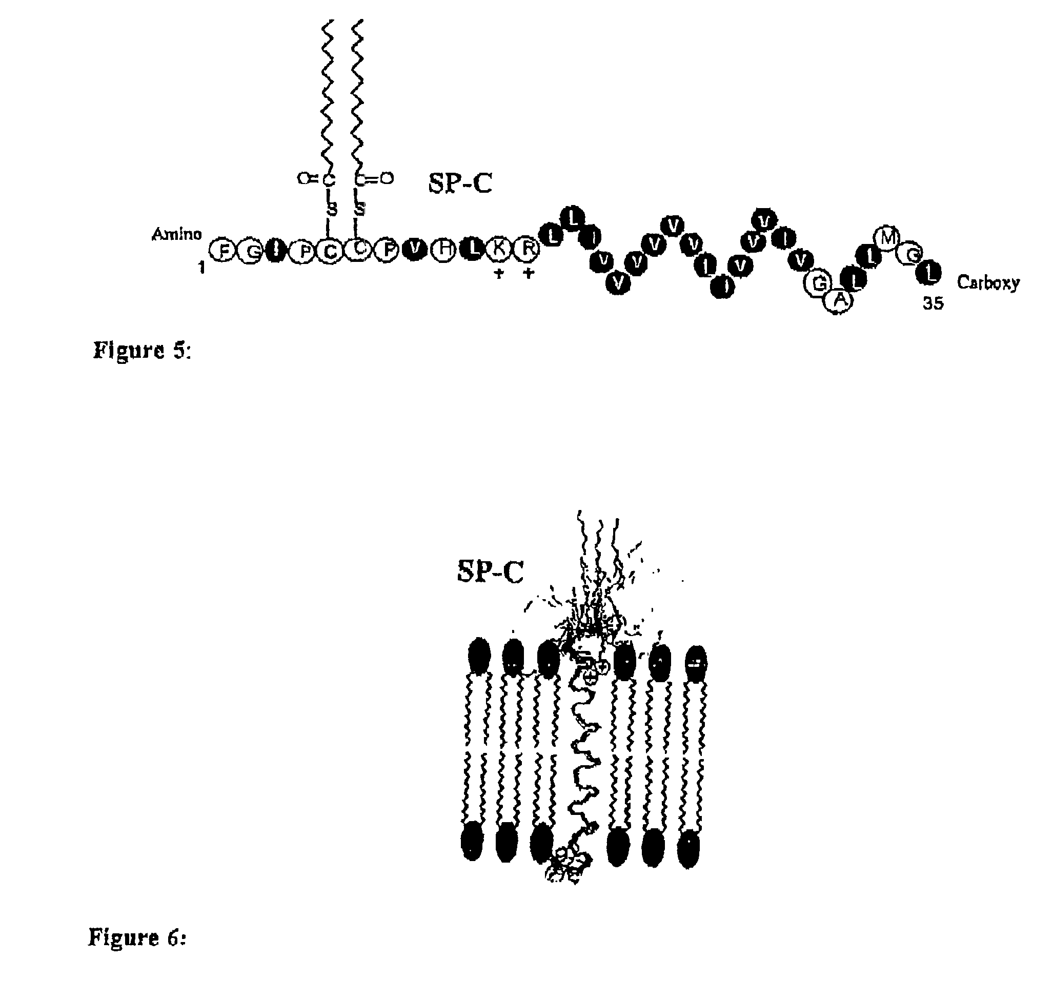 Polypeptoid pulmonary surfactants