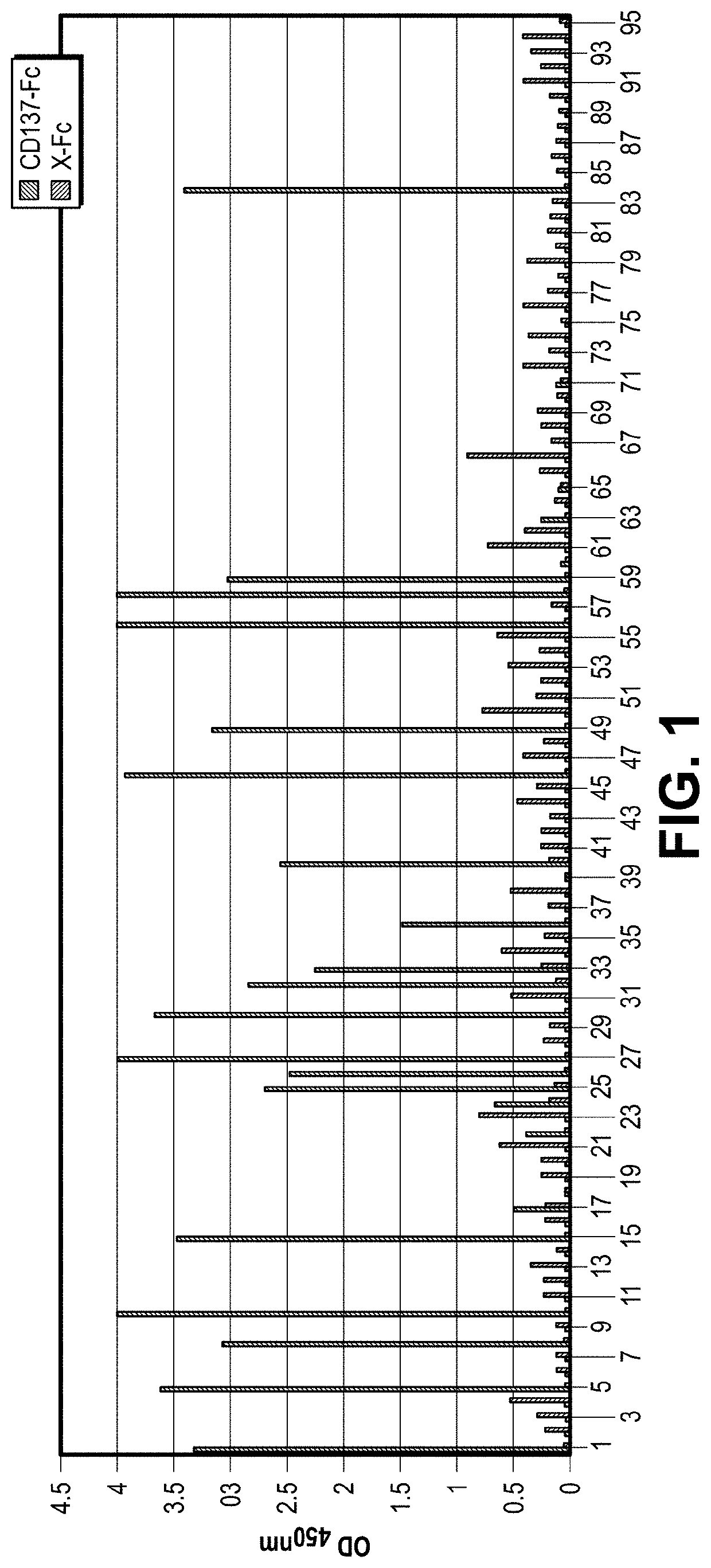 Antibodies for t-cell activation