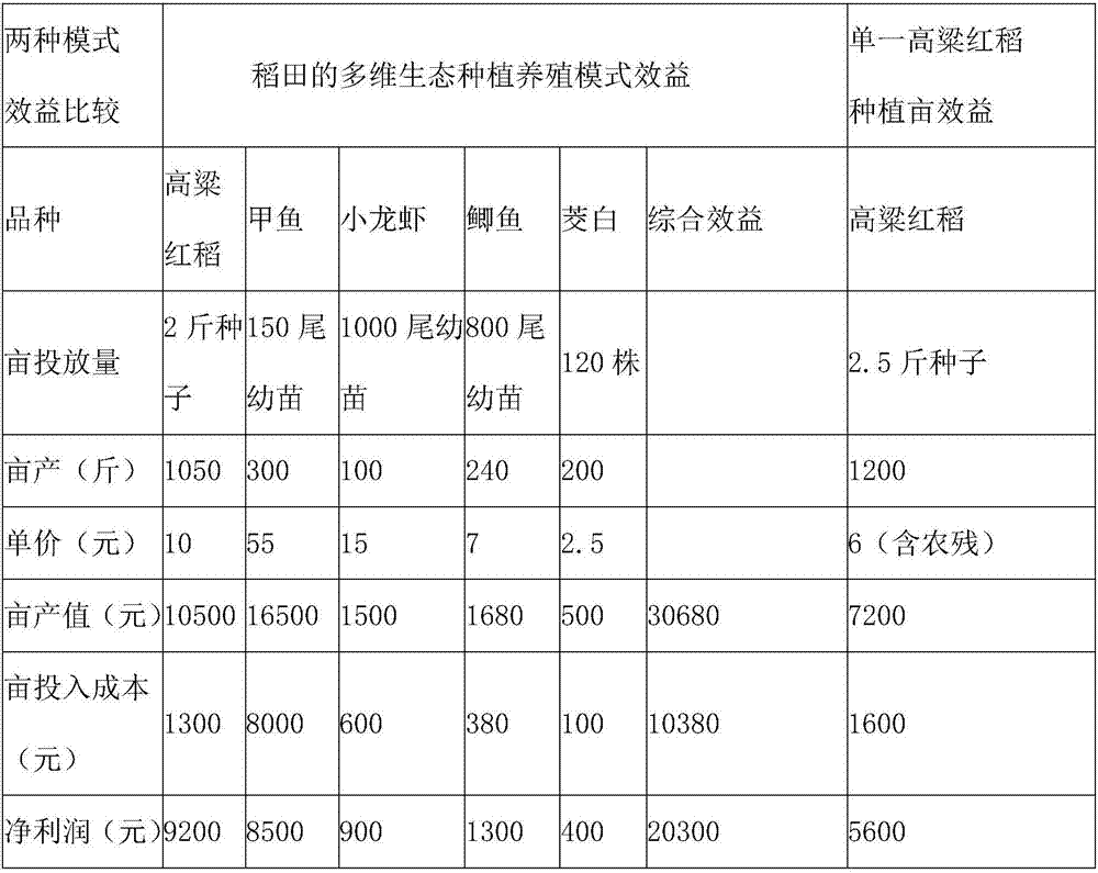 Planting and breeding mode of multi-dimensional ecological rice field