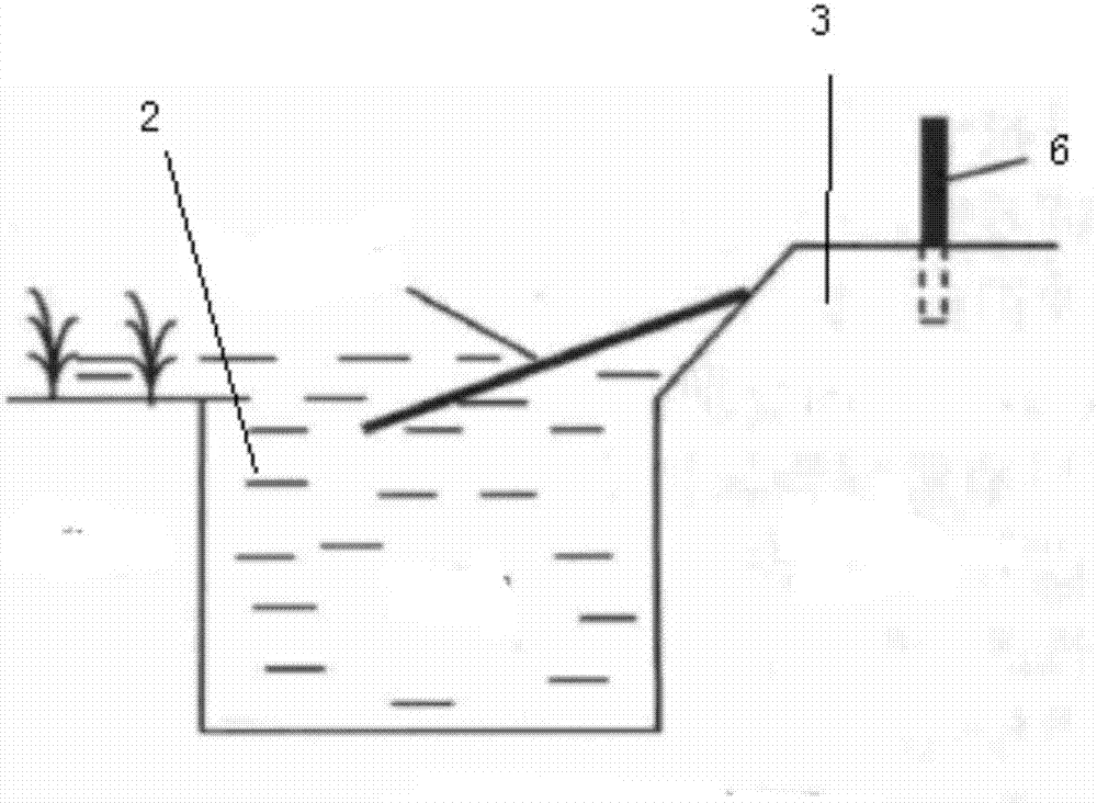 Planting and breeding mode of multi-dimensional ecological rice field