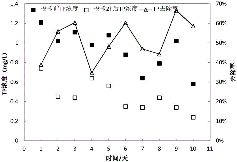 Composite microbiological preparation for governing black-odor river and preparation method and application thereof