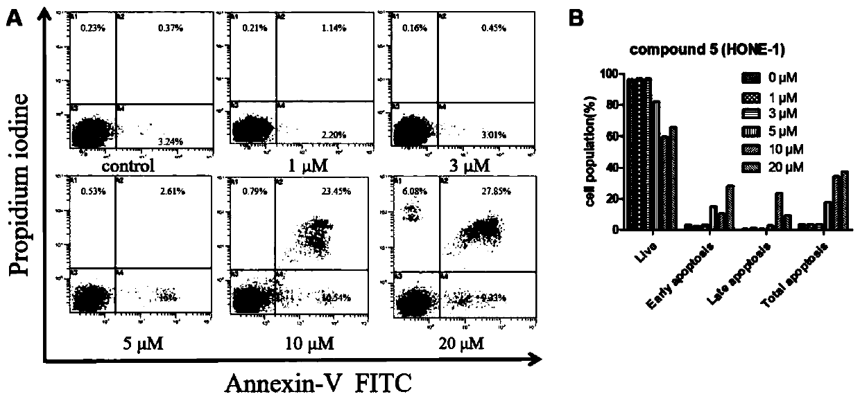 Flos chrysanthemi indici extract and preparation method thereof and application of flos chrysanthemi indici extract to preparation of drugs for treatment of nasopharyngeal carcinoma