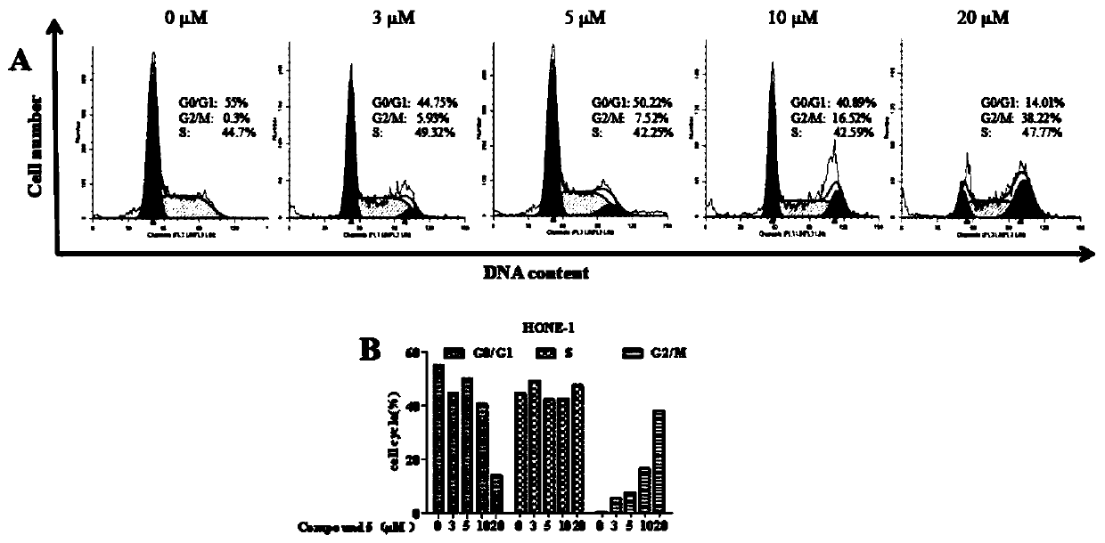 Flos chrysanthemi indici extract and preparation method thereof and application of flos chrysanthemi indici extract to preparation of drugs for treatment of nasopharyngeal carcinoma