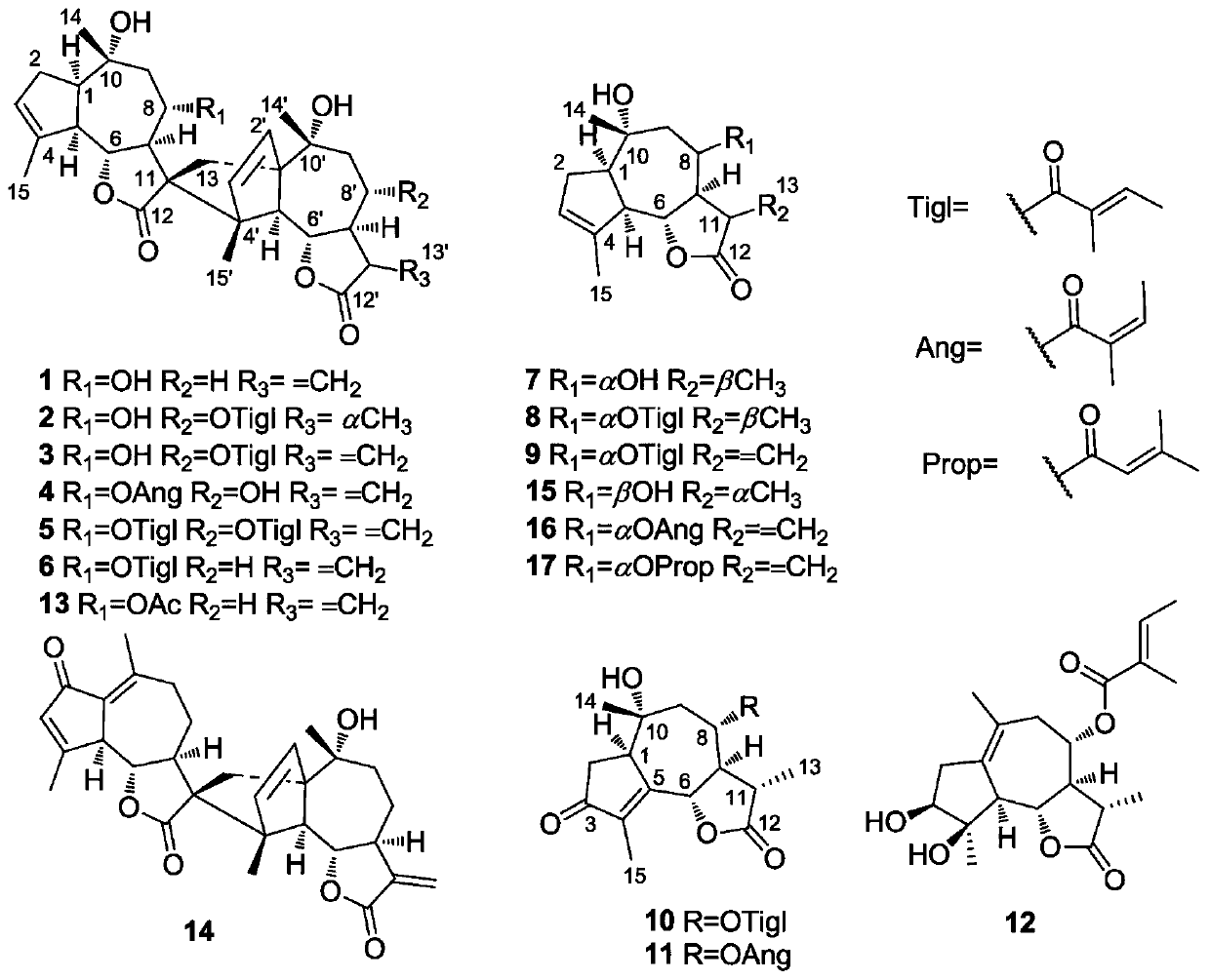 Flos chrysanthemi indici extract and preparation method thereof and application of flos chrysanthemi indici extract to preparation of drugs for treatment of nasopharyngeal carcinoma