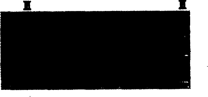 Molecular marker of Wuzhishan pig and its application