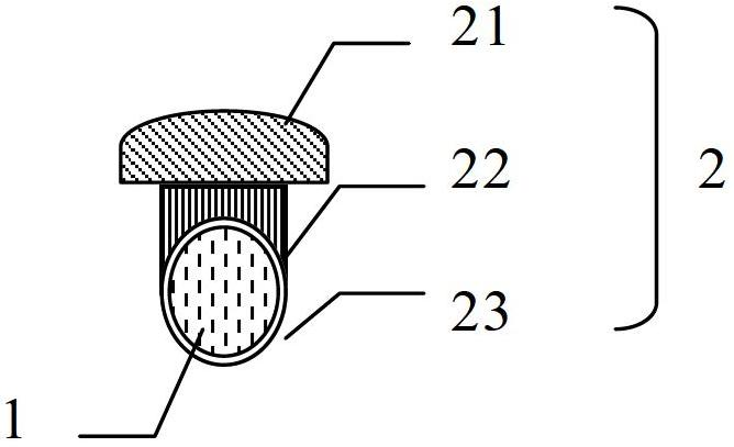 Disposable sterile particulate-retaining syringe