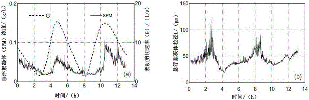 Water and sand dynamic simulation method based on bioflocculation