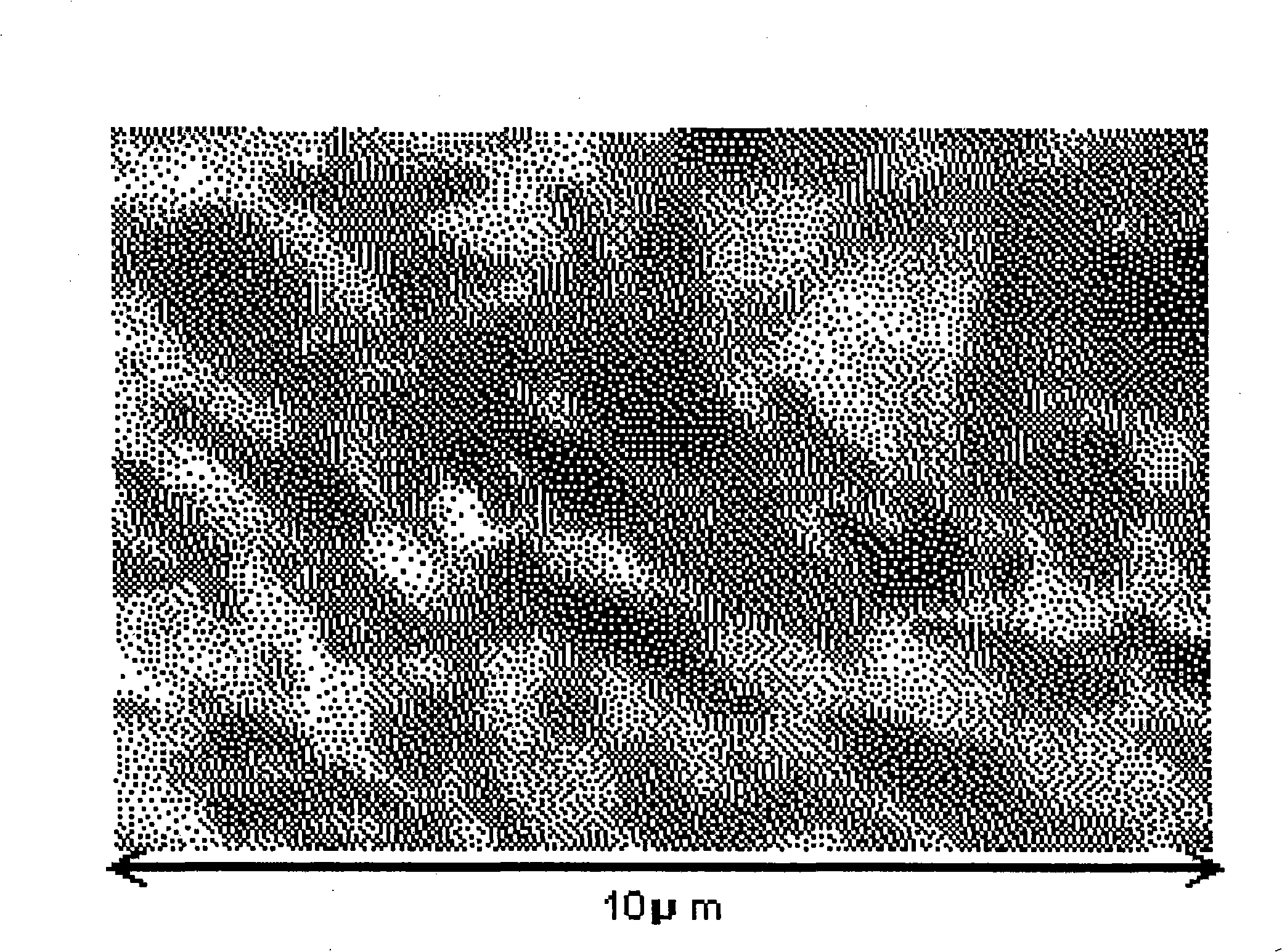Electrolytic ni plating apparatus and method of manufacturing semiconductor device