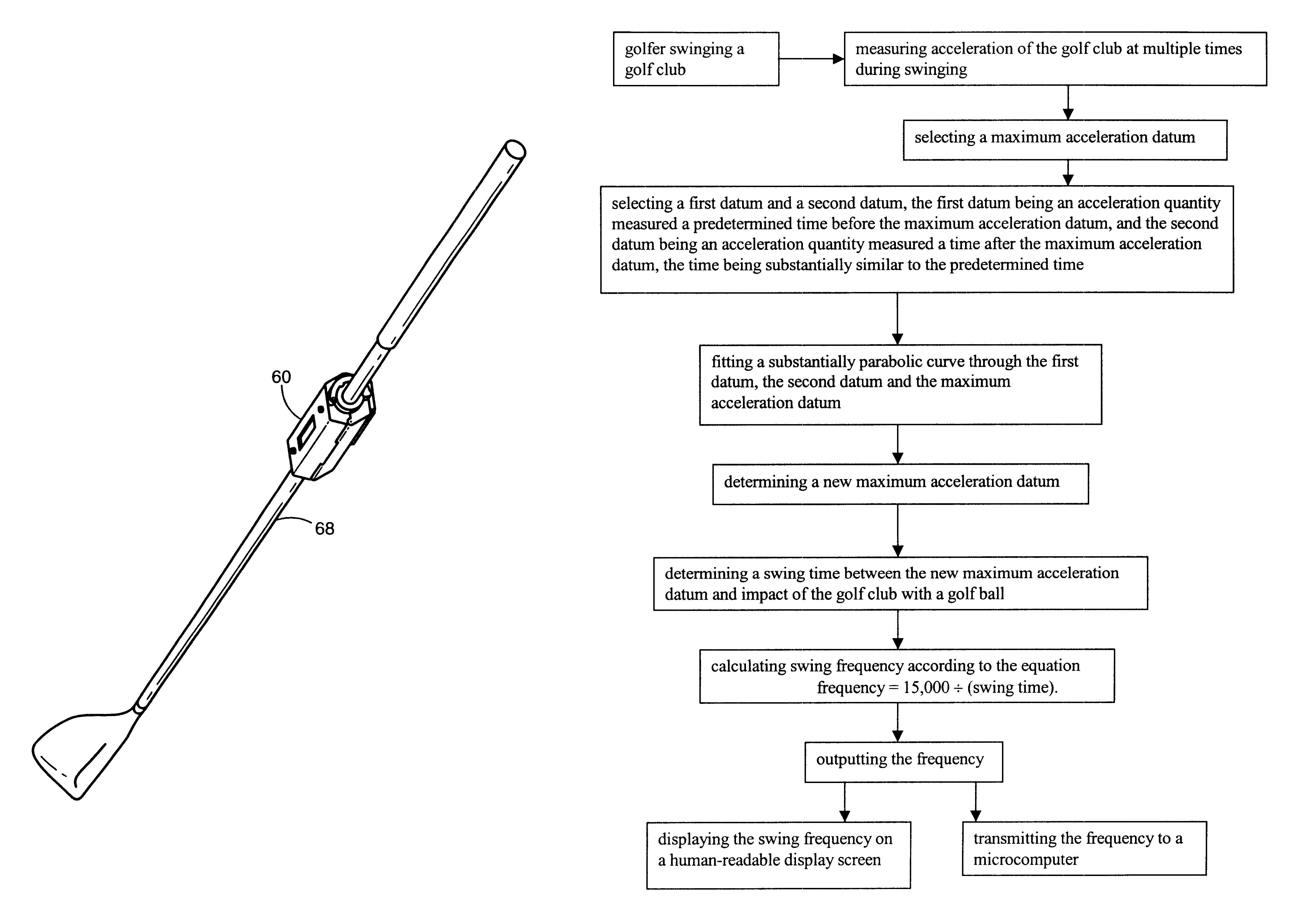 Golf swing frequency analyzer