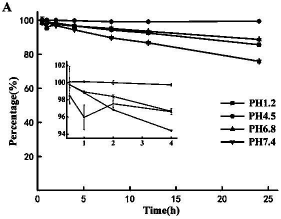 Maleimide prodrug having biological adhesion effect and application of maleimide prodrug in oral medicine transmission