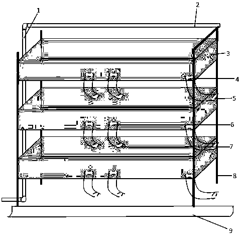 Indoor large-scale artificial breeding method of semi-aquatic fireflies