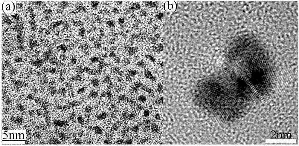 Multi-branched gold and silver composite nanomaterial having excellent surface enhanced Raman scattering characteristics and preparation method thereof