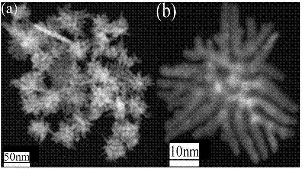 Multi-branched gold and silver composite nanomaterial having excellent surface enhanced Raman scattering characteristics and preparation method thereof