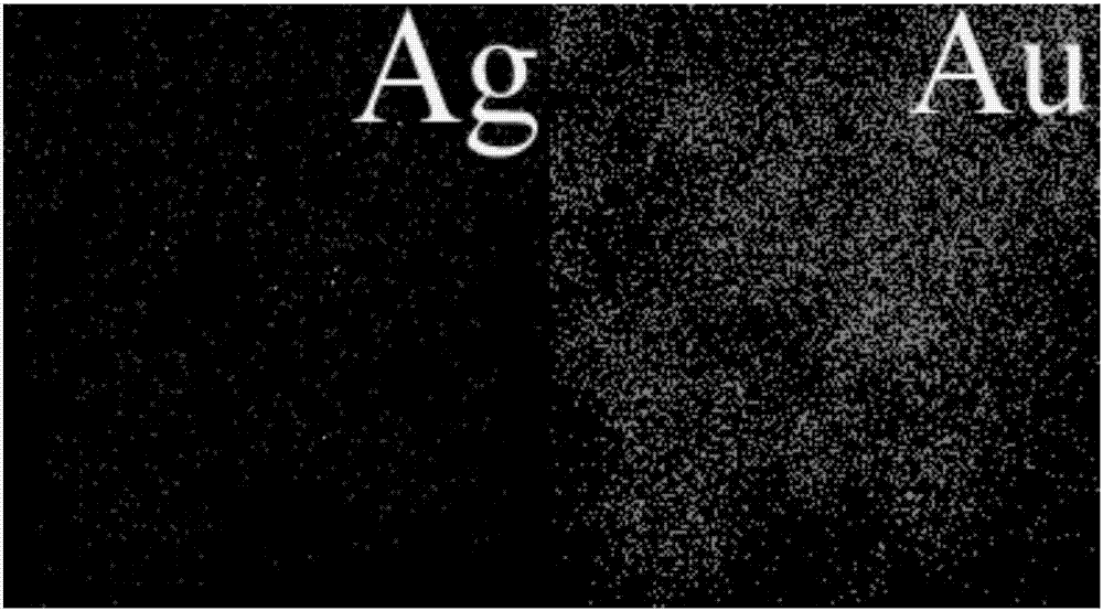 Multi-branched gold and silver composite nanomaterial having excellent surface enhanced Raman scattering characteristics and preparation method thereof