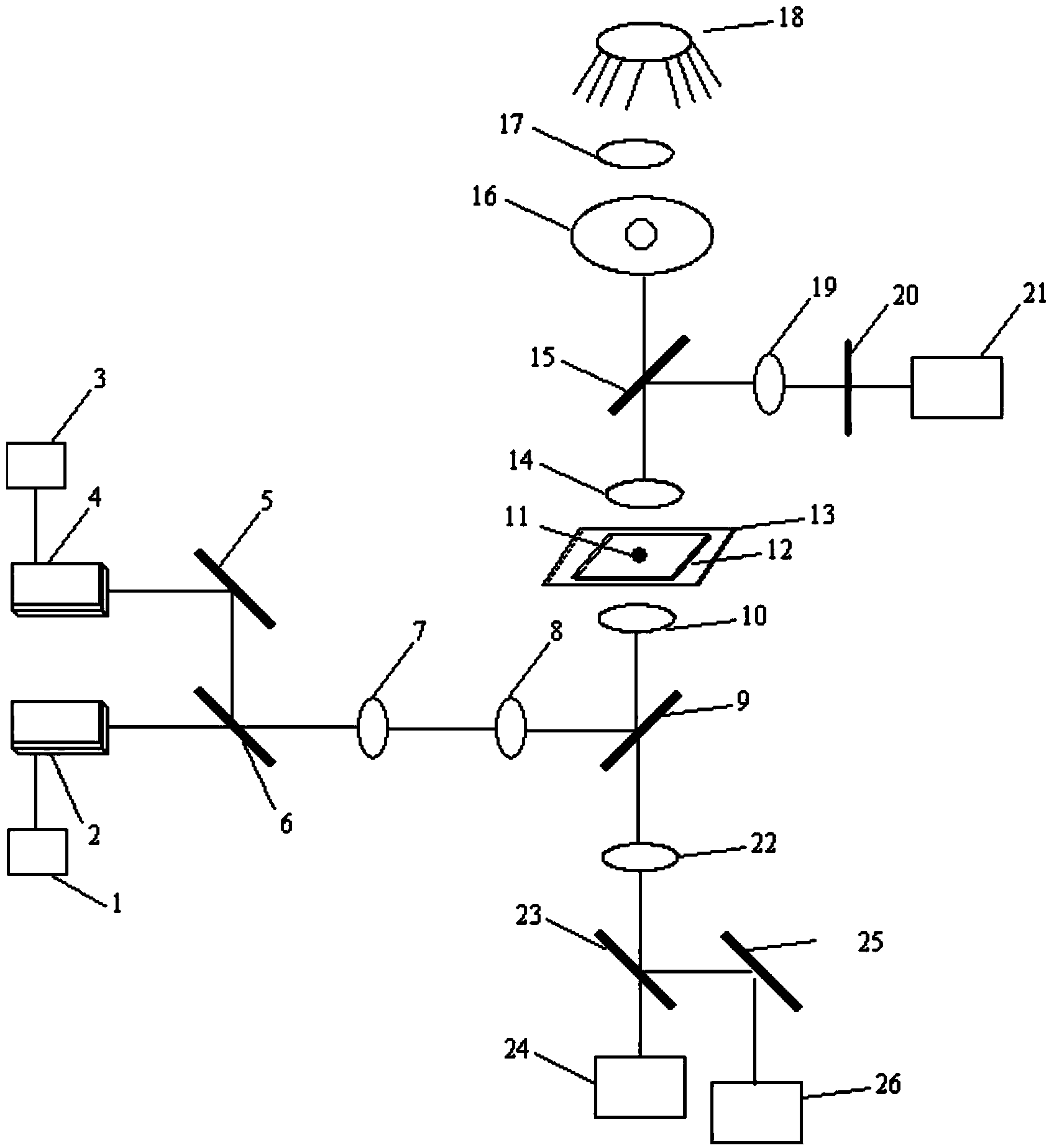 Single particle fuel micro-combustion, gasification suspension, ignition, imaging and detection system