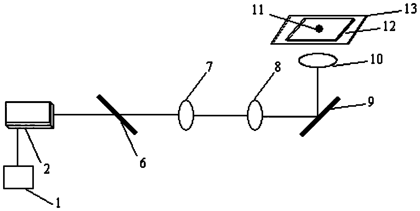 Single particle fuel micro-combustion, gasification suspension, ignition, imaging and detection system