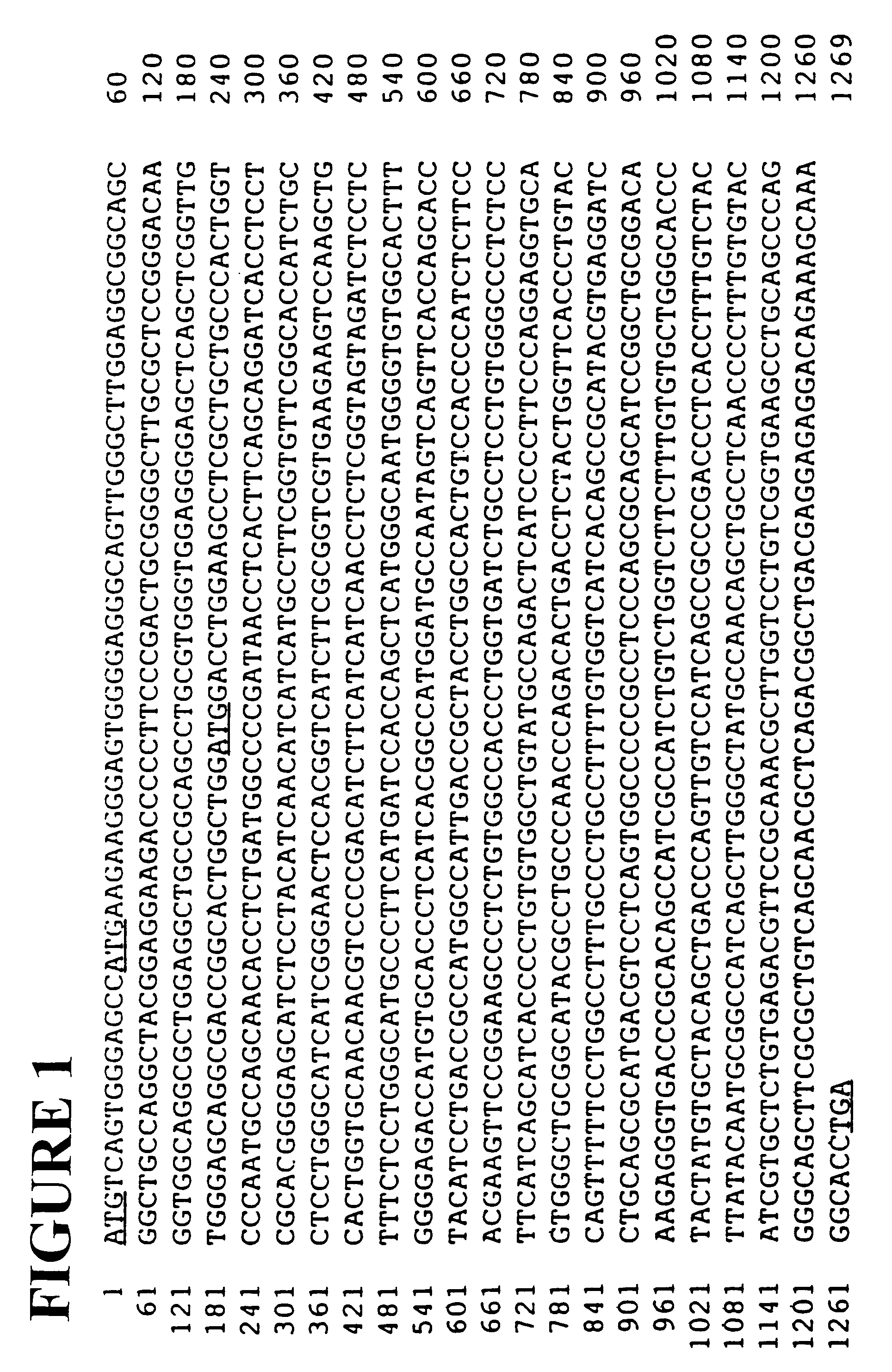 Methods of identifying melanin concentrating hormone receptor antagonists