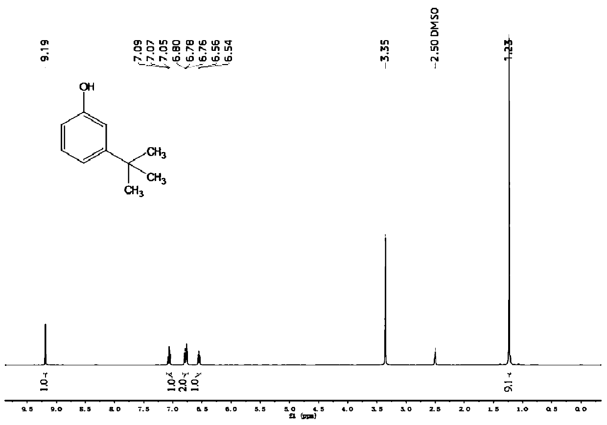 Green preparation process of m-tert-butylphenol