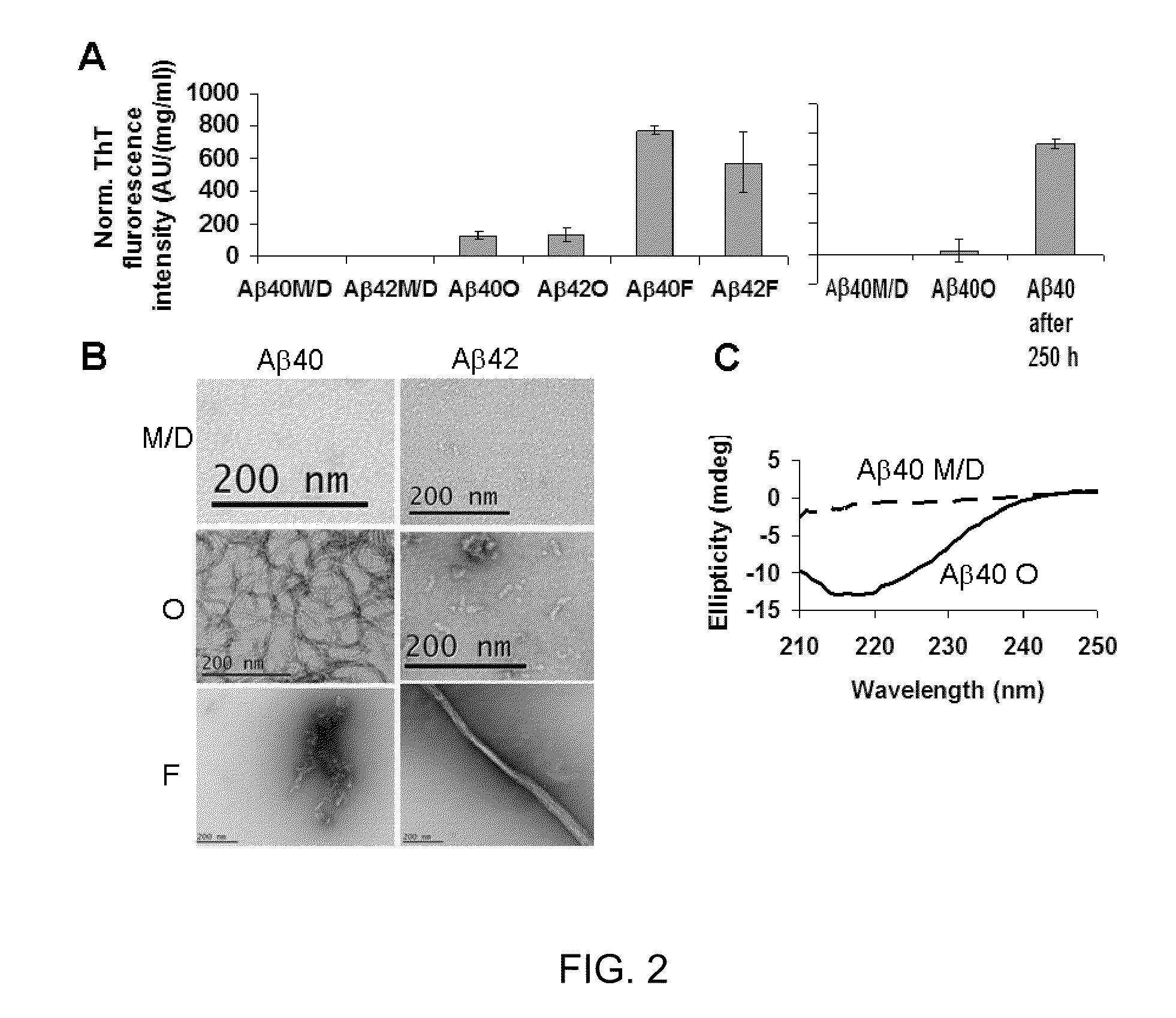 Design of a peptide probe for rapid and specific detection of amyloid aggregation