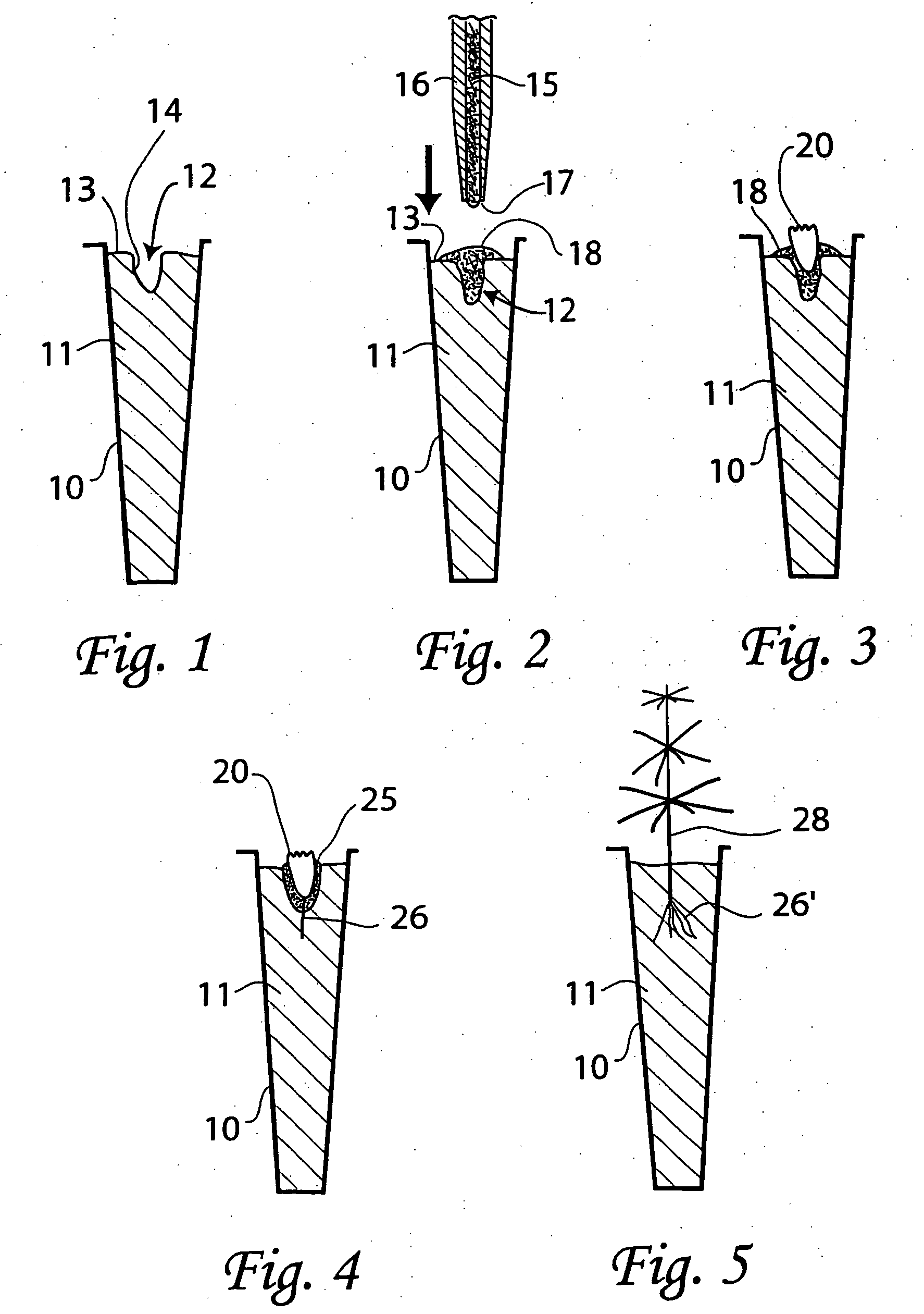 Method of ex vitro sowing, germination, growth and conversion of plant somatic embryos or germinants, and nutrient medium used therefor