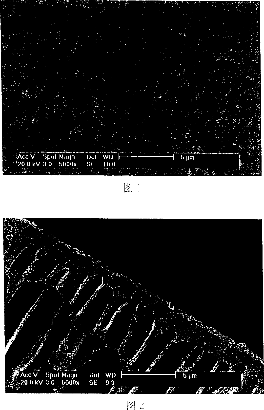 Method for preparing fixed carrier compound membrane for CO2 separation by utilizing interfacial polymerization