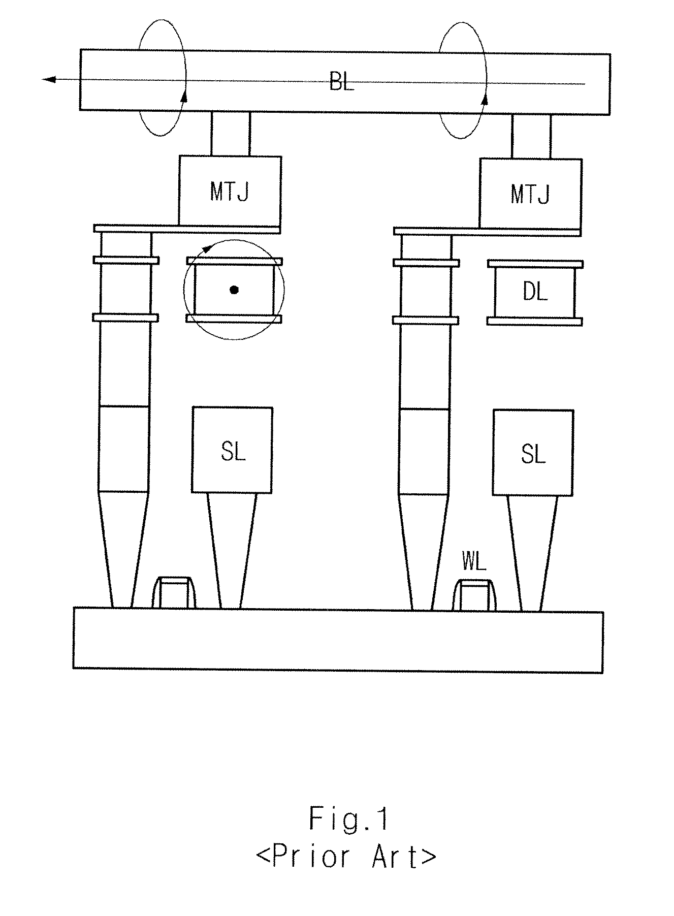 Spin Transfer Torque Memory Device Having Common Source Line and Method for Manufacturing the Same