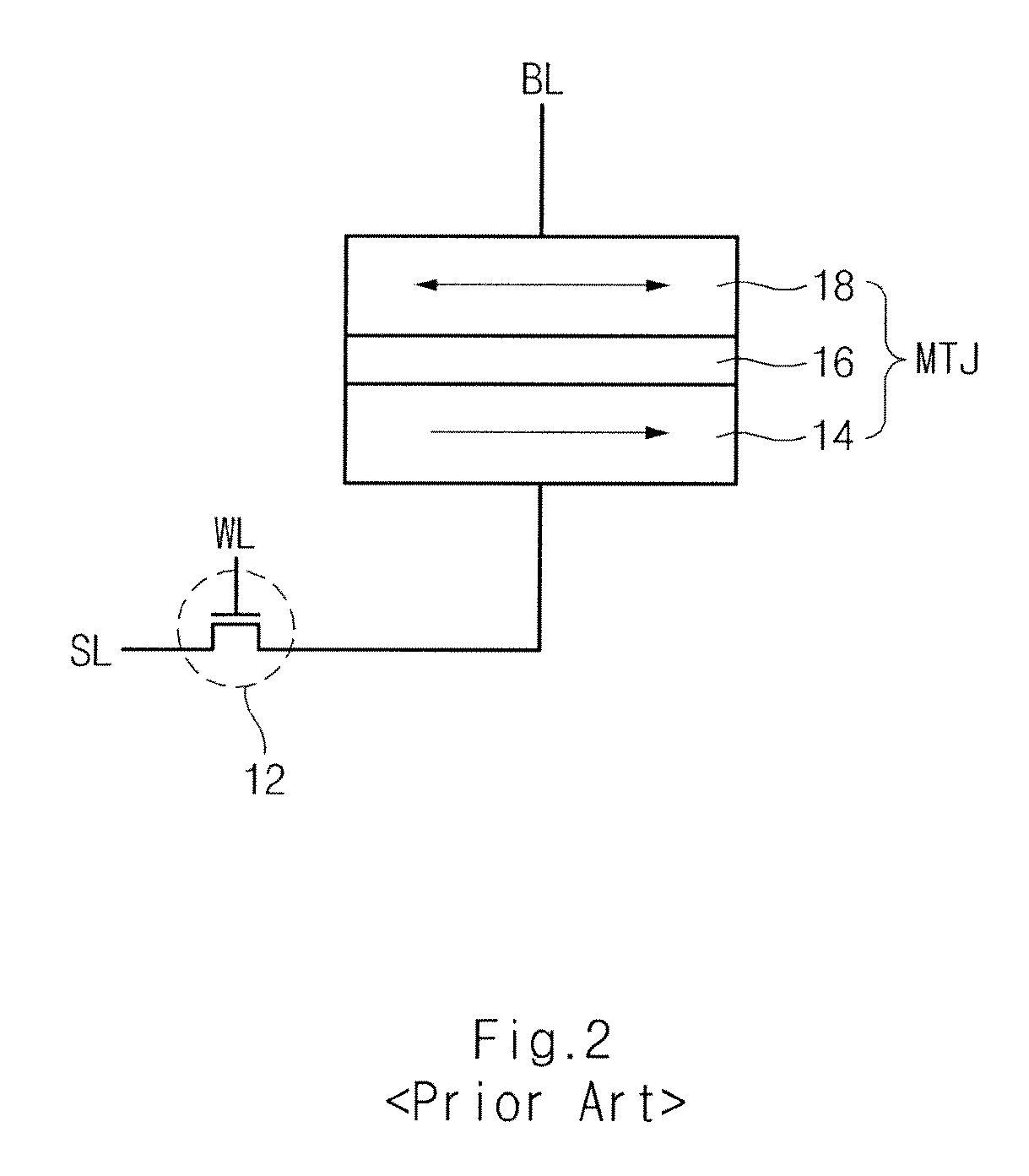 Spin Transfer Torque Memory Device Having Common Source Line and Method for Manufacturing the Same